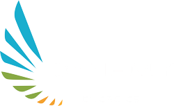 Dynamy Energies